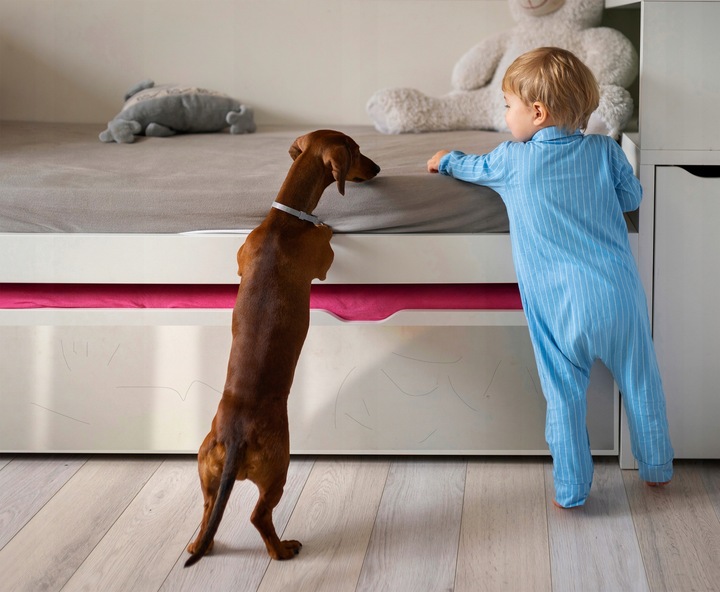 FOLIA OCHRONNA BEZBARWNA Drzwi Meble PRZECIW DRAPANIU Samoprzylepna 50x100