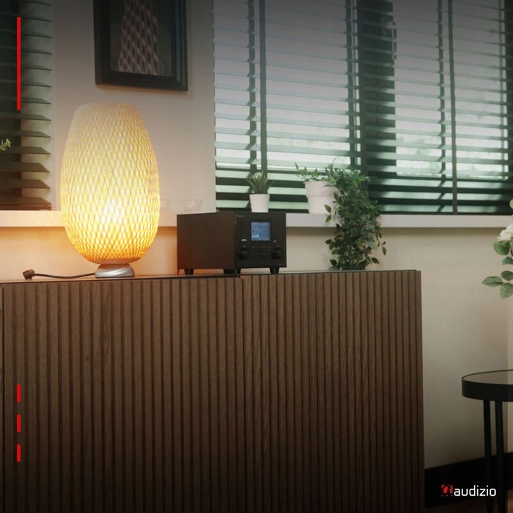 Radio DAB+ tuner FM z subwooferem czarne do kuchni salonu biura