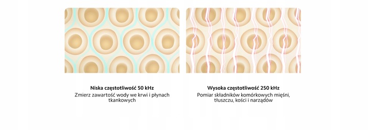 Inteligentna Waga Łazienkowa Xiaomi Body Composition Scale S400