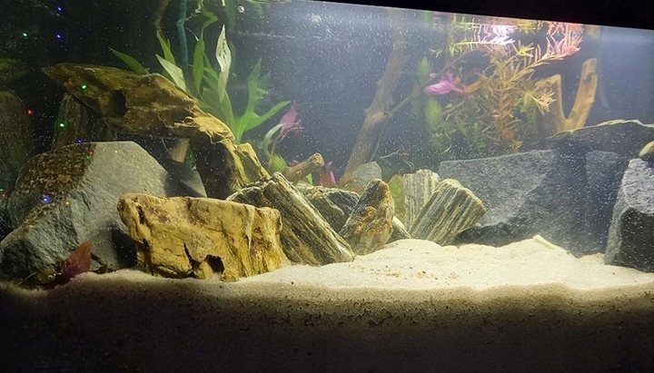 PIASEK KWARCOWY DO AKWARIUM - NAJCZYSTSZY 0,5-1,2 15 KG Drobny, Jasny