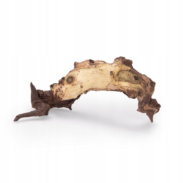 NATURALNY KORZEŃ DO AKWARIUM DESERT ROZMIAR M 20CM