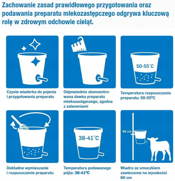 BASIC MILK preparat mlekozastępczy dla cieląt