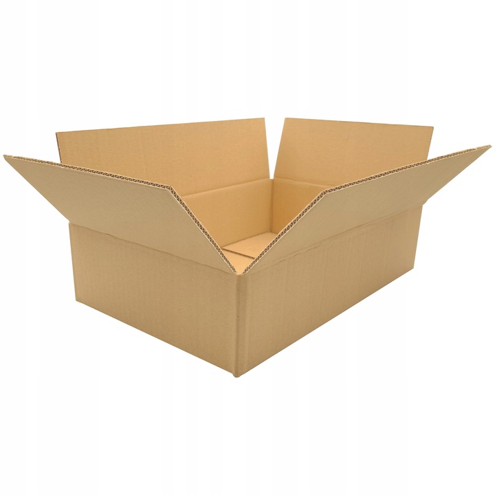 KARTON PUDEŁKO PACZKOMAT B 250x200x100 100 SZT.