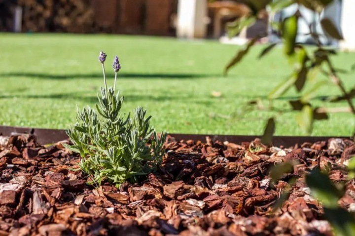 KORA SOSNOWA PRZESIEWANA SORTOWANA Dekoracja Pachnąca Lasem SUPER
