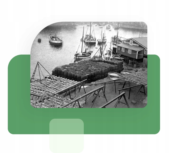 2x Möller’s Forte 112 kaps. TRAN odporność OMEGA-3 mózg serce WIT. D3 i E