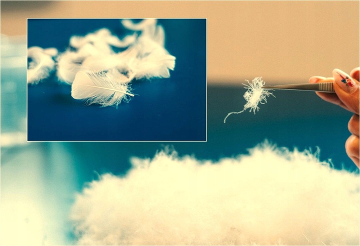 Poduszka 70x80 PUCH i PIERZE 2 kg 100% BAWEŁNA