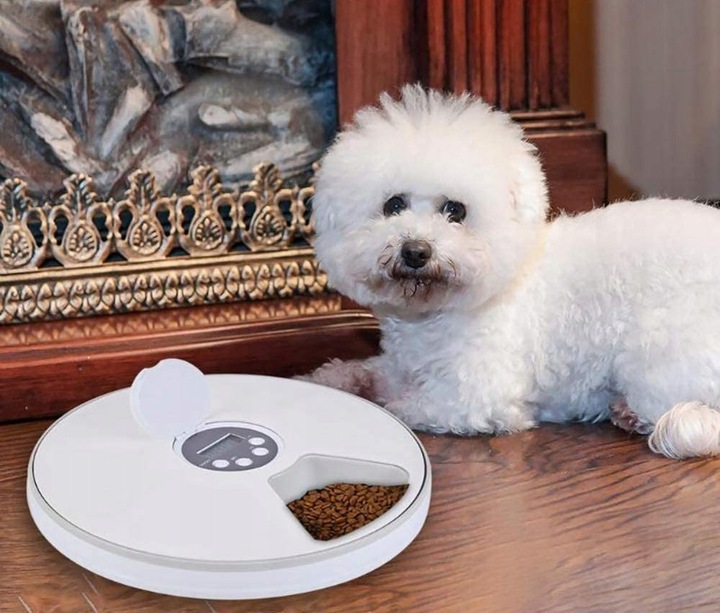 Podajnik dozownik suchej karmy automat czasowy timer dla psa kota miska