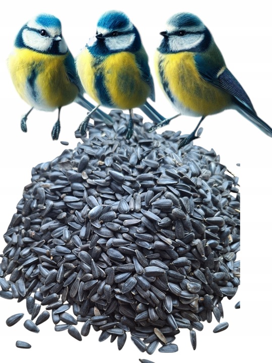 Słonecznik czarny 14 kg pokarm dla papug karma dla ptaków GRTIS kula tluszc