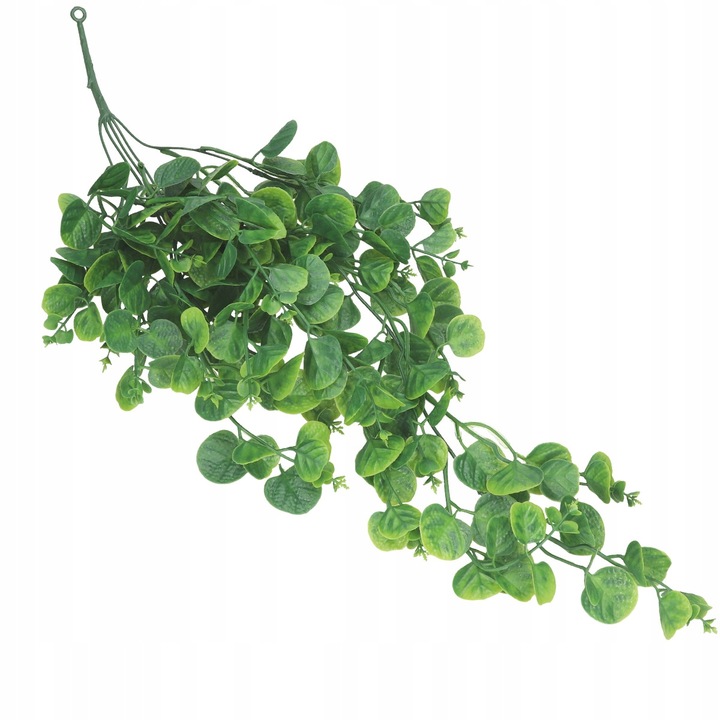 EUKALIPTUS ZWISAJĄCE GĘSTE PNĄCZE GAŁĄZKI KASKADA GIRLANDA BLUSZCZ 5gał