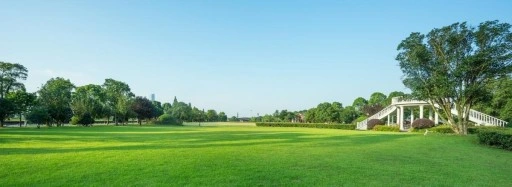 TRAWA MIESZANKA TRAWY z mikrokoniczyną koniczyna 2kg TRAWNIK SAMONAWOŻĄCY