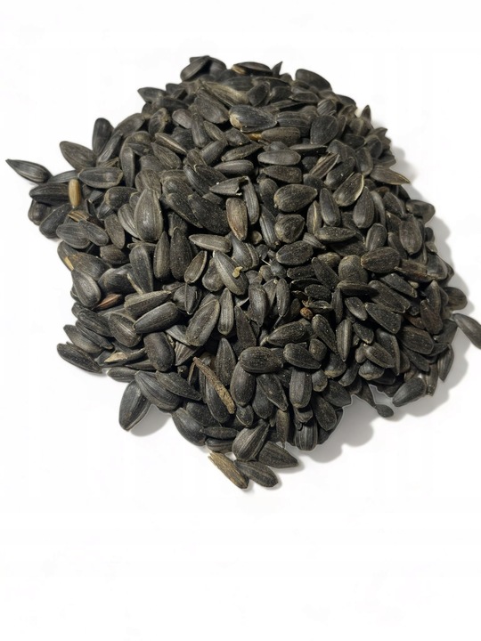 Czarny Słonecznik Ziarna Karma PREMIUM Dla Ptaków I Gołębi 20 kg