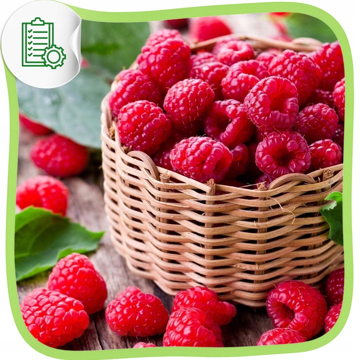 Olej z pestek malin tłoczony na zimno naturalny do twarzy na słońce 50ml