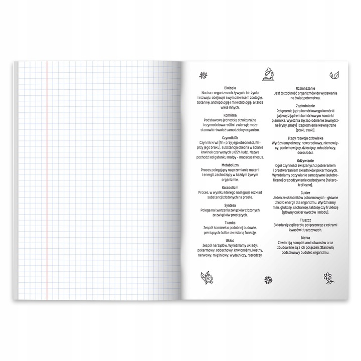 KOMPLET ZESZYTÓW TEMATYCZNYCH PRZEDMIOTOWYCH ZE ŚCIĄGĄ 10 SZTUK HERLITZ