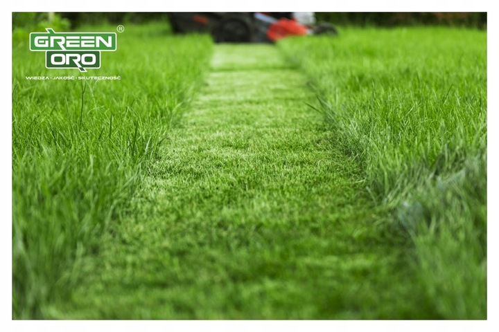 Nawóz do Trawnika Iglaków Tui Róż REGENERACYJNY 10kg CHISSO SAI SEI