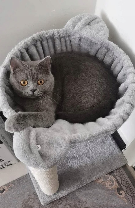 Drapak dla kota legowisko domek budka 53cm (F062)