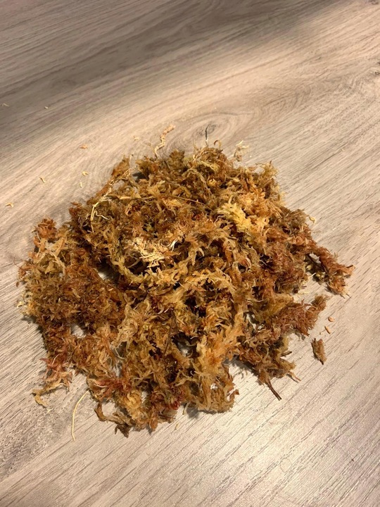 Mech Sphagnum Mech Torfowiec 3l