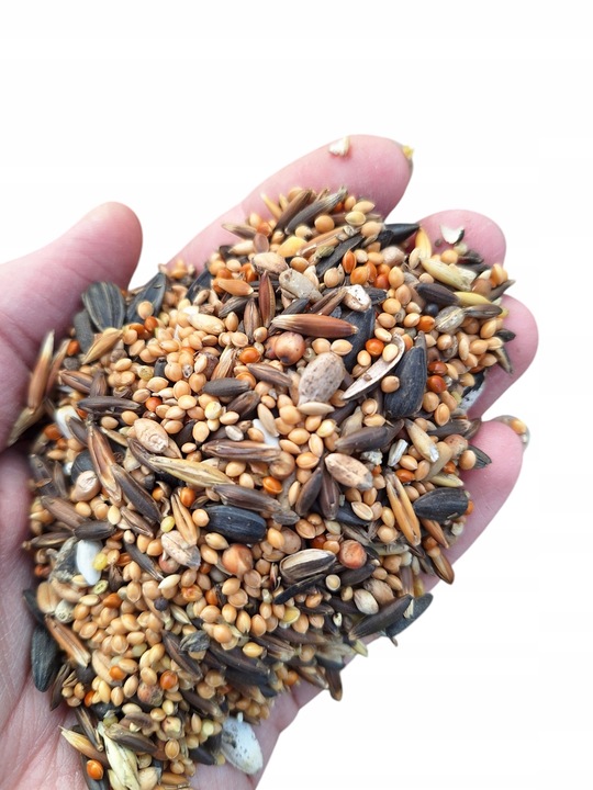 Pokarm dla papug średnich ziarno karma dla nimfy nierozłączki10 kg