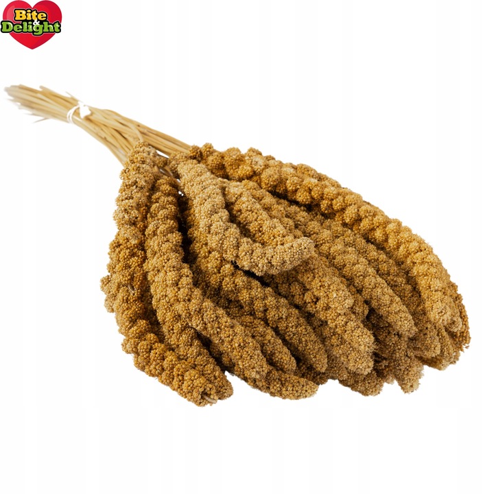 PROSO SENEGALSKIE BIAŁE 1KG CZYSTE DUŻE KŁOSY DLA PTAKÓW PAPUG ECO PACK