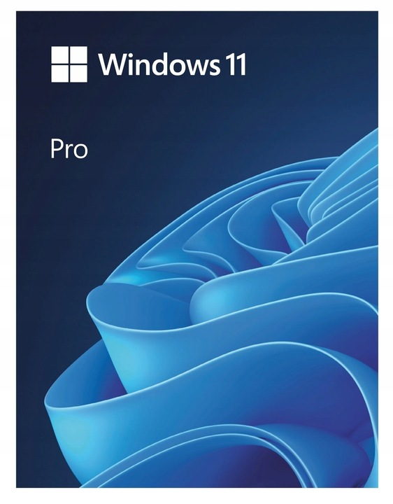 Program MICROSOFT Windows 11 Professional Box