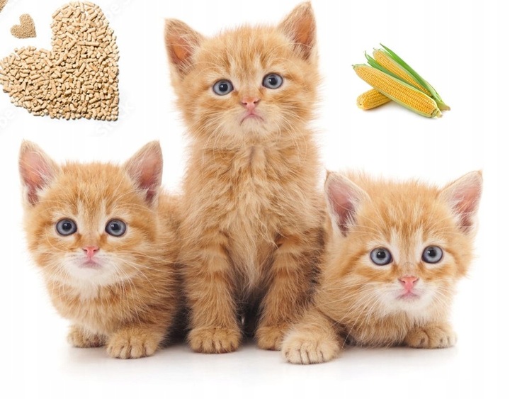 Żwirek kukurydziany GRUBOZIARNISTY EKOTEK 33L dla kotów, królików, 20KG