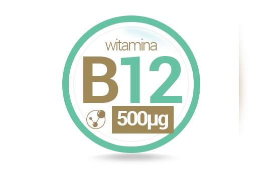 MODULATOR HOMOCYSTEINY B12 B6 B7 B9 Kwas Foliowy