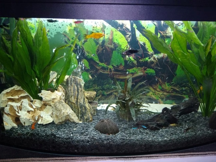 LAWA LAWA WULKANICZNA 2-8 mm 25 kg ŻWIREK AKWARIUM NA DNO