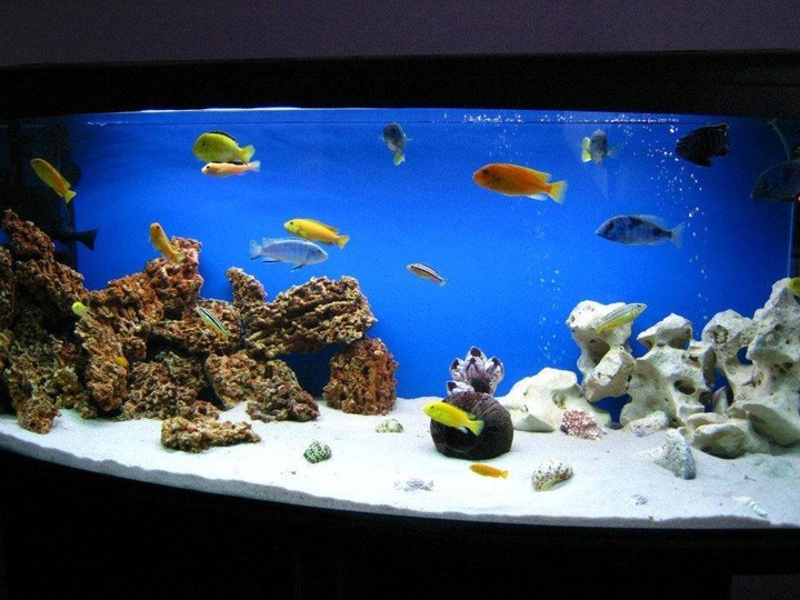 5KG WAPIEN CZERWONY ZESTAW SKAŁ DO AKWARIUM MALAWI