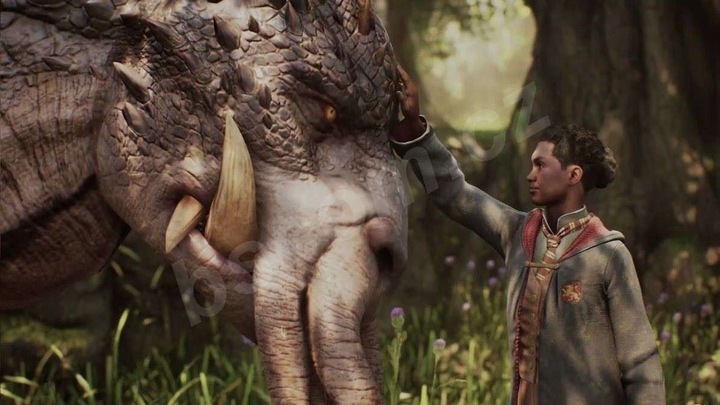 Hogwarts Legacy Dziedzictwo Hogwartu | PEŁNA WERSJA | STEAM | Wysyłka 24/7