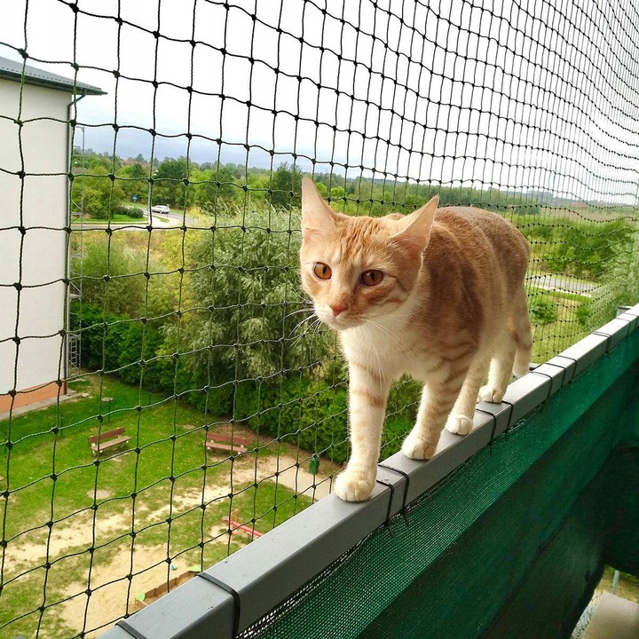 ZESTAW SIATKA NA BALKON DLA KOTA 3x2m Z DRUCIKIEM