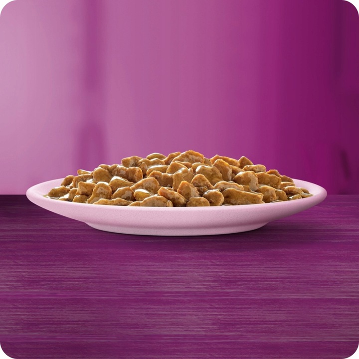 MOKRA KARMA WHISKAS JUNIOR DROBIOWA UCZTA 40x85G MIX SMAKÓW W GALARETCE