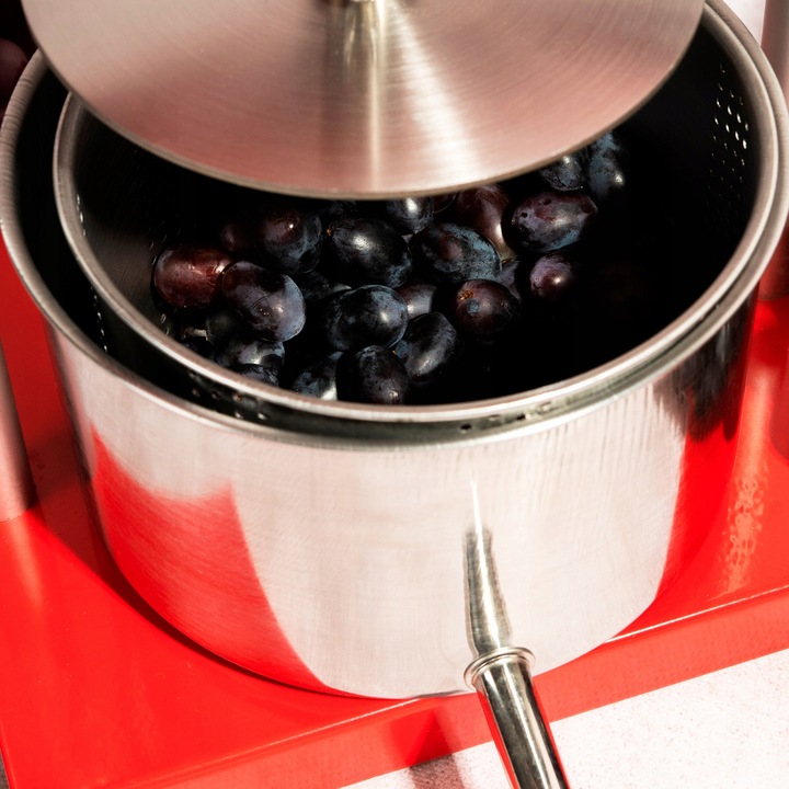 WYCISKARKA PRASA RĘCZNA DO WYCISKANIA OWOCÓW WINA SOKÓW 3L STAL