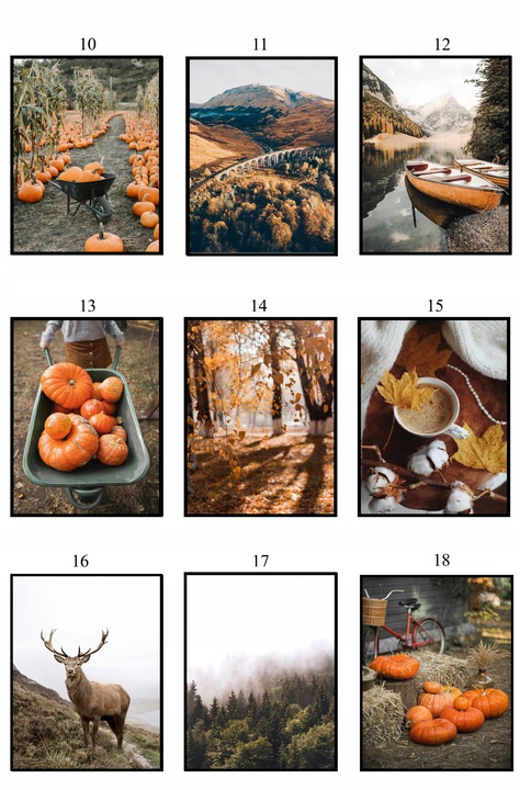 PLAKATY 50x70 JESIENNE obrazy DUŻO WZORÓW do salonu sypialni eviero