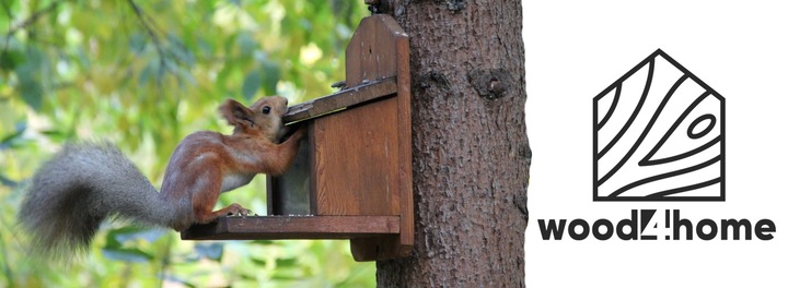 DOMEK DLA WIEWIÓREK, KARMNIK - z drewna. łatwy montaż - 3 kolory