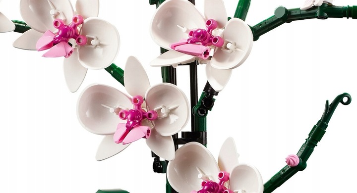 LEGO Creator Orchidea 10311