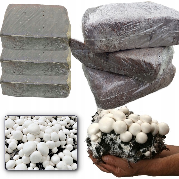GRZYBNIA PIECZARKI BIAŁEJ BALOT PODŁOŻE 3FAZA 20KG Z BADANIAMI +