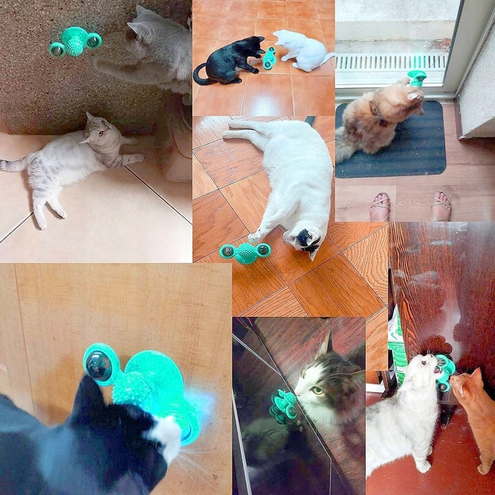 Gryzak z kocimiętką Interaktywna zabawka z przyssawką dla kota ŚWIECĄCA 360