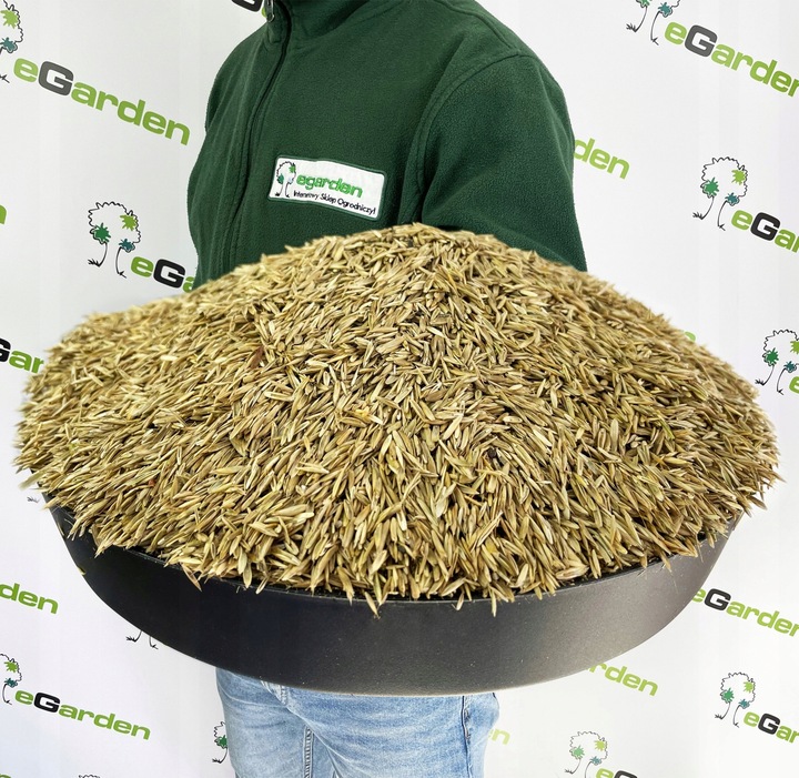 Trawa Samonawożąca 5KG Z MIKROKONICZYNĄ Koniczyna Odporna na suszę 200m2