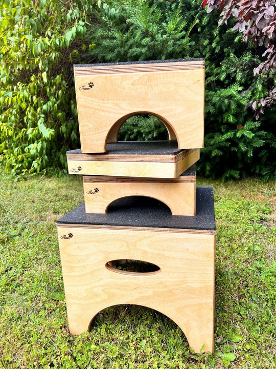 PODEST DLA PSA DO SOCJALIZACJI OBEDIENCE DOG 30x6