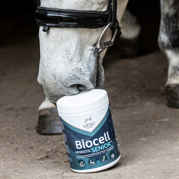 Suplement MEBIO Biocell Probiotic Senior 1kg probiotyk dla koni