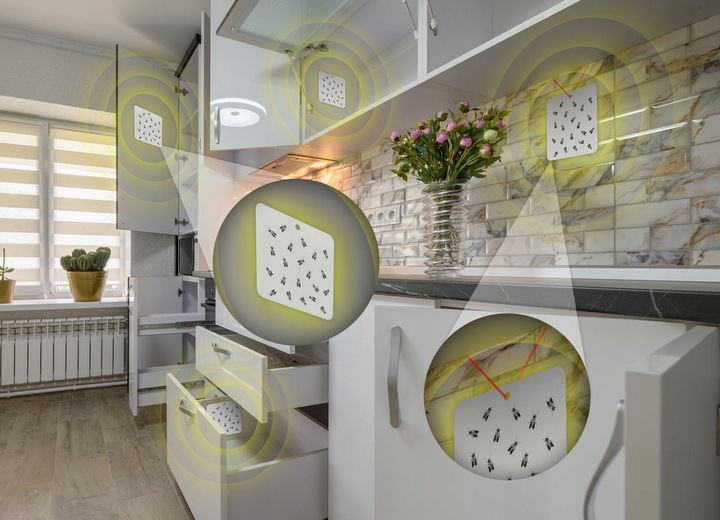 SILNA PUŁAPKA LEPOWA ŚRODEK LEP NA MOLE SPOŻYWCZE KUCHENNE (10 SZT) NO PEST