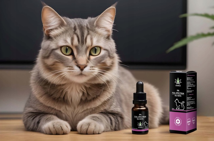 Olejek CBD Full Spectrum 3% 10 ml dla Kotka Kota od farmaceuty bezpieczny