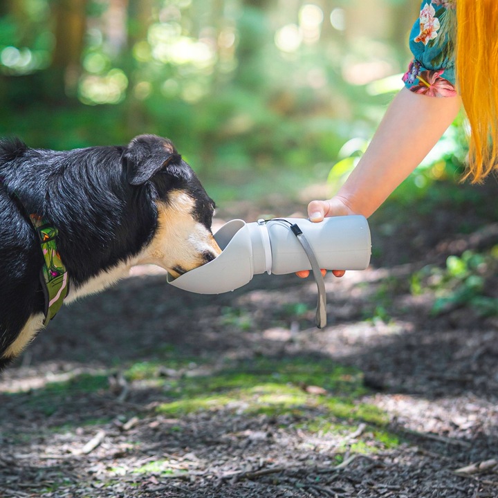 Butelka na Wodę dla Psa Bidon z Miską Poidło Turystyczne Składane