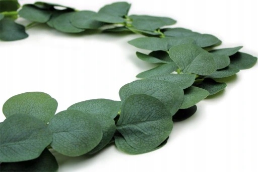 Girlanda Eukaliptus Bluszcz Sztuczne Zielone Listki Komunia Wesele 2 Metry