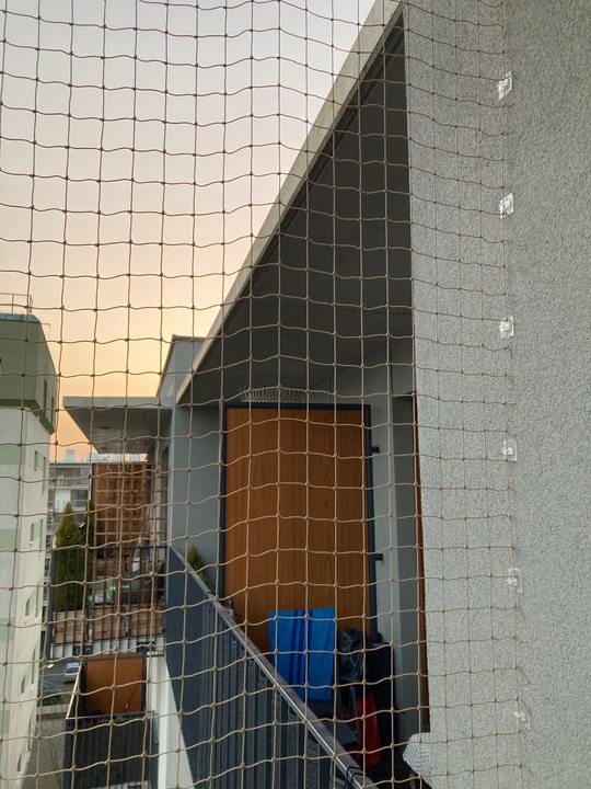 ZESTAW SIATKA NA BALKON DLA KOTA PTAKI GOŁĘBIE 2X3 OCZKO 50mm BEZ WIERCENIA