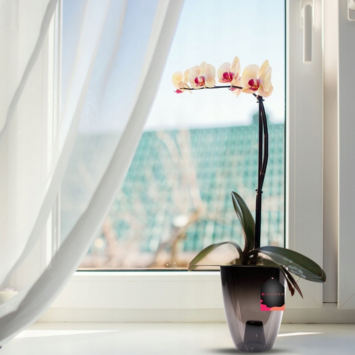 3 x OSŁONKA OSŁONA DONICZKA NA STORCZYK 12CM GRAFIT