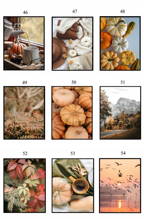 PLAKAT 40x50 JESIENNY poster DUŻO WZORÓW eviero do domu pejzaże na