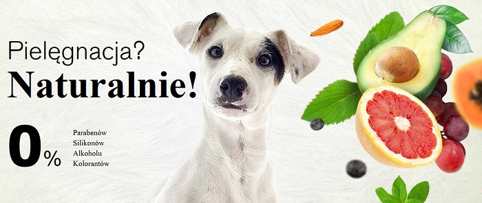 SPRAY dla psa Botaniqa ROZCZESYWANIE Maltańczyk York Shih Tzu 250ml