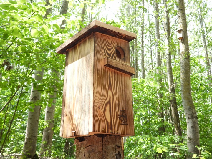 Budka dla wiewiórki Domek opalany