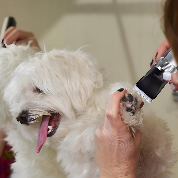 MASZYNKA DO STRZYŻENIA PSA ZWIERZĄT ZESTAW PSÓW BEZPRZEWODOWA CICHA LCD 9W