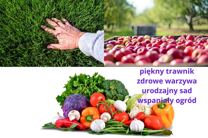 Mączka bazaltowa naturalny nawóz do roślin warzyw 19,5 kg